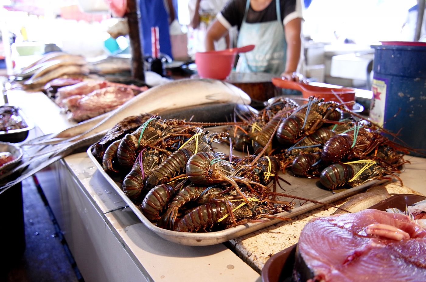 Fresh sea food at the Baler public market